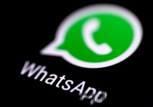 中陸用whatsapp,连接全球的即时通讯桥梁(图2)