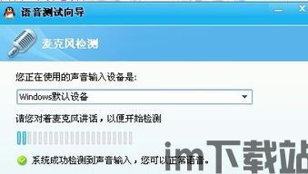 skype测试听不到自己声音,Skype通话无声音问题排查指南(图3)