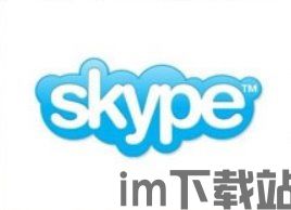 skype大厅限制,探索社交平台背后的规则与挑战(图2)