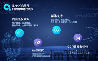 比特比币交易官网,探索比特币分叉币的潜力与市场动态(图3)