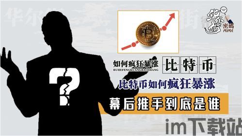 比特币推手,多因素交织下的市场推手解析(图3)