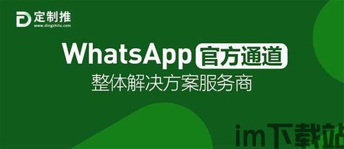 做外贸没有whatsapp怎么办,外贸无WhatsApp？揭秘替代方案与沟通策略(图2)