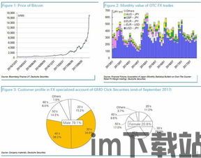 比特币杠杆模式怎么玩,风险与收益并存的投资策略(图2)