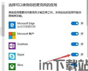 skype不能语音怎么设置,排查与设置解决方案(图1)