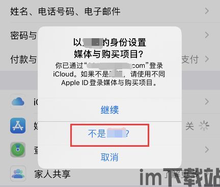 skype苹果无法链接网络,排查与解决指南(图3)