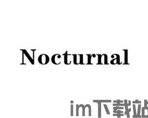 2023 nocturnal,探索夜幕下的科技与艺术融合之旅(图1)