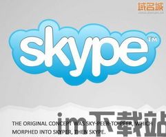 skype的域名,从域名看全球通讯巨头的崛起之路(图2)