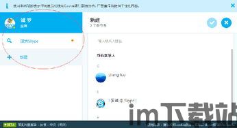 skype全球用户,跨越时空的沟通桥梁(图3)