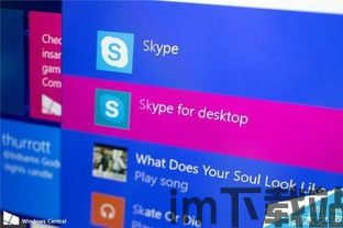 skype控制面板设置,个性化沟通体验的秘籍(图3)