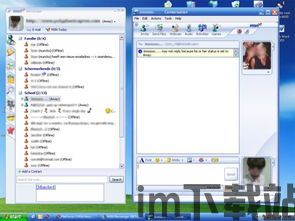 skype加msn好友,开启便捷沟通新时代(图2)