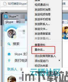 skype昵称在哪里,探寻个性与社交的交织(图2)