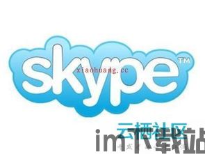 skype不能用摄像头,探索无摄像头视频通话的解决方案(图1)