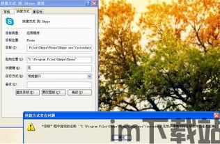 Skype计算机基础,Skype计算机基础入门指南(图3)