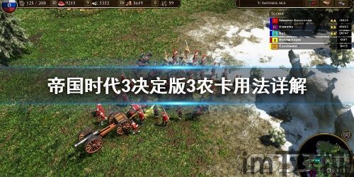 帝国时代3决定版好玩吗,新体验再燃战火(图3)