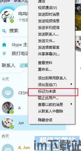 skype保留记录,回顾那些难忘的瞬间(图3)