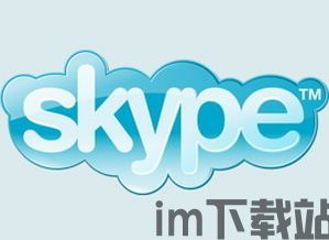 skype必应,打造高效沟通与信息获取新体验(图2)