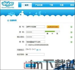 skype电脑版啥样子,界面设计与功能概览(图2)