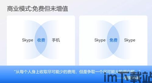 skype的商业模式,语音社交领域的创新盈利策略(图1)