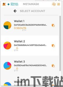 中国怎么下载metamask,Metamask下载与使用指南(图2)