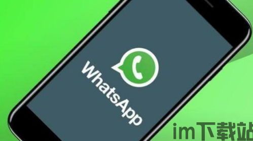 最新的WhatsApp要怎么下载,与亲友无缝连接(图2)