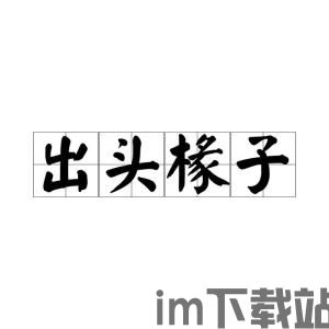 年字出头是什么成语,探寻“年字出头”成语的奥秘与魅力(图1)