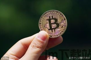 做外贸用比特币吗,比特币助力跨境交易革新(图3)