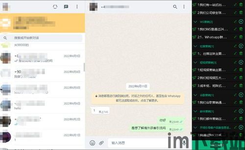 正规的whatsapp群发,揭秘现代社交网络的即时沟通秘境(图1)