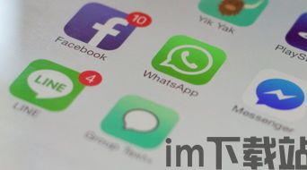 正规的whatsapp群发,揭秘现代社交网络的即时沟通秘境(图3)