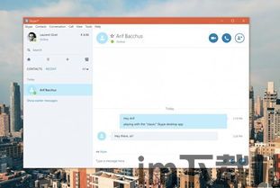 skype低版本,重温经典通信时光(图2)