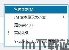 skype会议录制没有选项,Skype会议录制无选项下的纪要概述(图2)