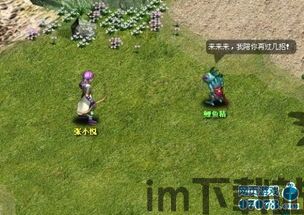 即时战斗类游戏 升级网络,网络优化与技巧解析(图2) 即时战斗类游戏 升级网络,网络优化与技巧解析(图2)