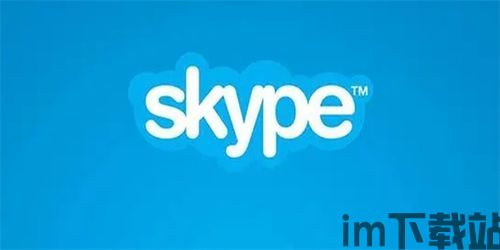 skype国际聊天工具,Skype国际聊天工具的无限魅力(图2)