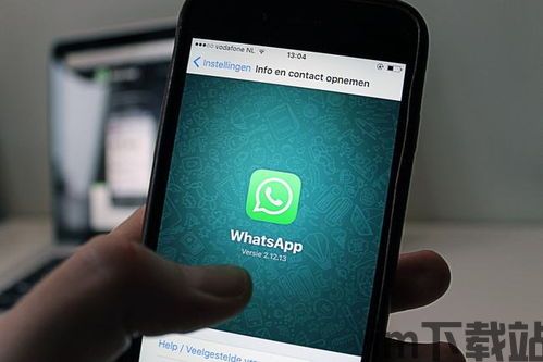 竹篙湾隔离whatsapp,WhatsApp传递的温馨与挑战(图3)