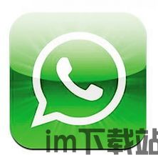 只有流量卡能用WhatsApp吗,WhatsApp使用新规定揭秘(图3)