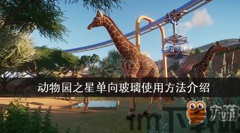 动物园之星更新1.13,探索动物世界的奇幻之旅(图3) 动物园之星更新1.13,探索动物世界的奇幻之旅(图3)