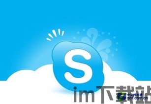 skype地址组成,基于Skype地址的社交互动概览(图2)