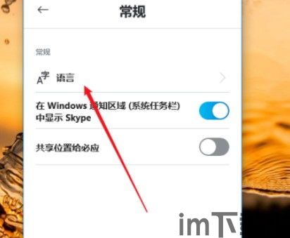 skype更换语言,轻松切换至您喜爱的沟通语言(图3)