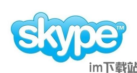 skype电商,跨越时空的商务沟通新篇章(图1) skype电商,跨越时空的商务沟通新篇章(图1)