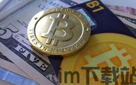 经历了比特币的大起大落,比特币价格波动背后的市场风云(图2)