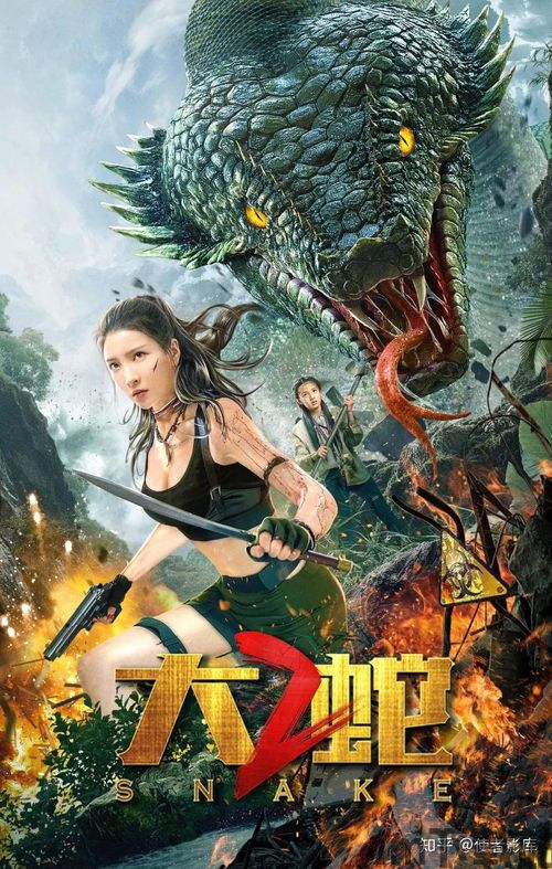 大蛇2抖动,掌握战斗节奏的奥秘(图2) 大蛇2抖动,掌握战斗节奏的奥秘(图2)