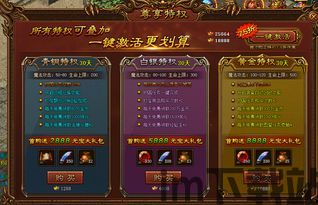传奇3至尊特权礼包,尊享独家特权与稀有道具(图2)