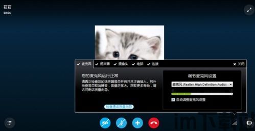 skype电磁音,创新通信技术的音波奥秘(图2)