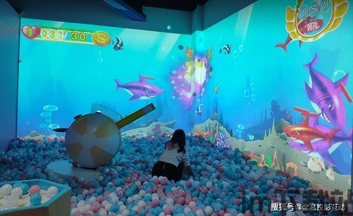 放置运动场 (图1)