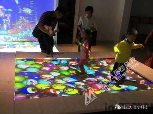 放置运动场 (图2)