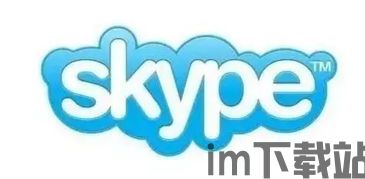skype面试代表,远程面试的技巧与准备(图3)