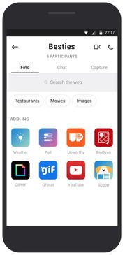skype设置标签,个性化你的在线联系方式(图3)