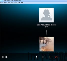skype如何使用国际信用卡,轻松实现全球通话与支付(图1) skype如何使用国际信用卡,轻松实现全球通话与支付(图1)