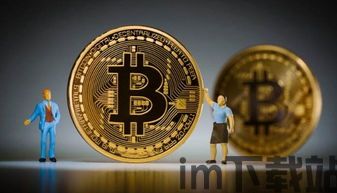 比特龙比特币,揭秘去中心化数字货币的崛起与挑战(图1) 比特龙比特币,揭秘去中心化数字货币的崛起与挑战(图1)