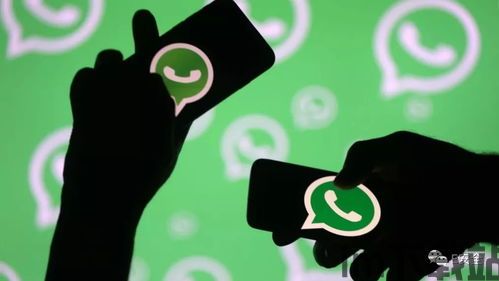 中兴 whatsapp,共筑智能通信新篇章(图1) 中兴 whatsapp,共筑智能通信新篇章(图1)