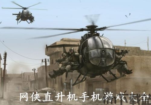 直升机突袭游戏下载 (图2) 直升机突袭游戏下载 (图2)